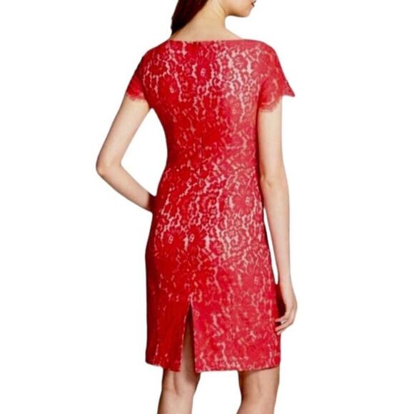 NWT Eliza J Coral Lace Cap Sleeve Surplice Neck Sheath Dress, sz 10 - Picture 2 of 8